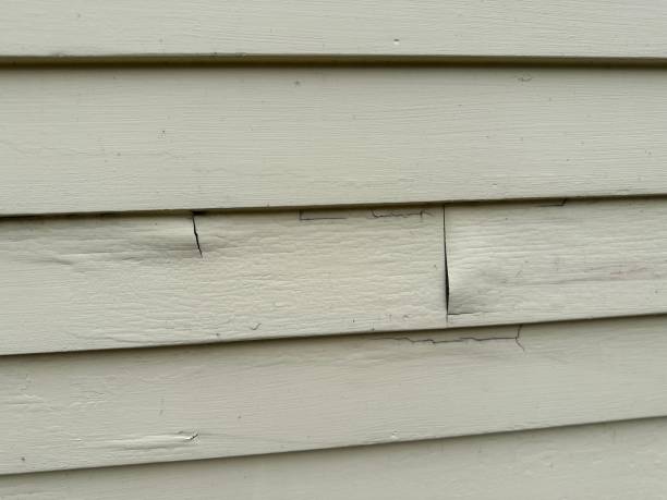Best Siding for Multi-Family Homes  in Ellsworth, ME